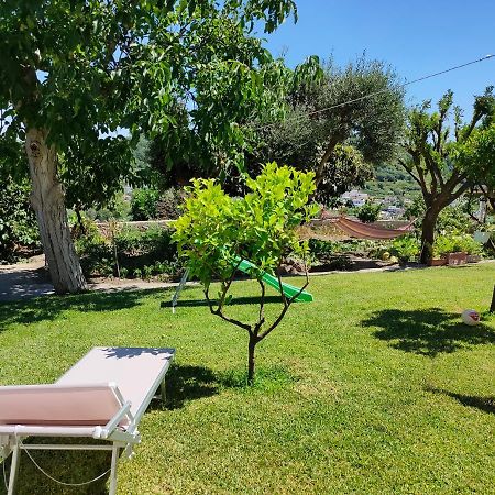 Il Giardino Apartment Barano d'Ischia ภายนอก รูปภาพ