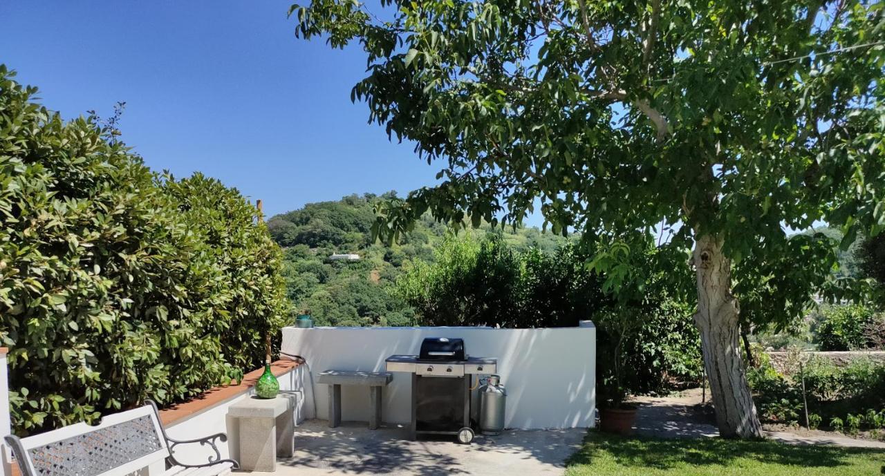Il Giardino Apartment Barano d'Ischia ภายนอก รูปภาพ